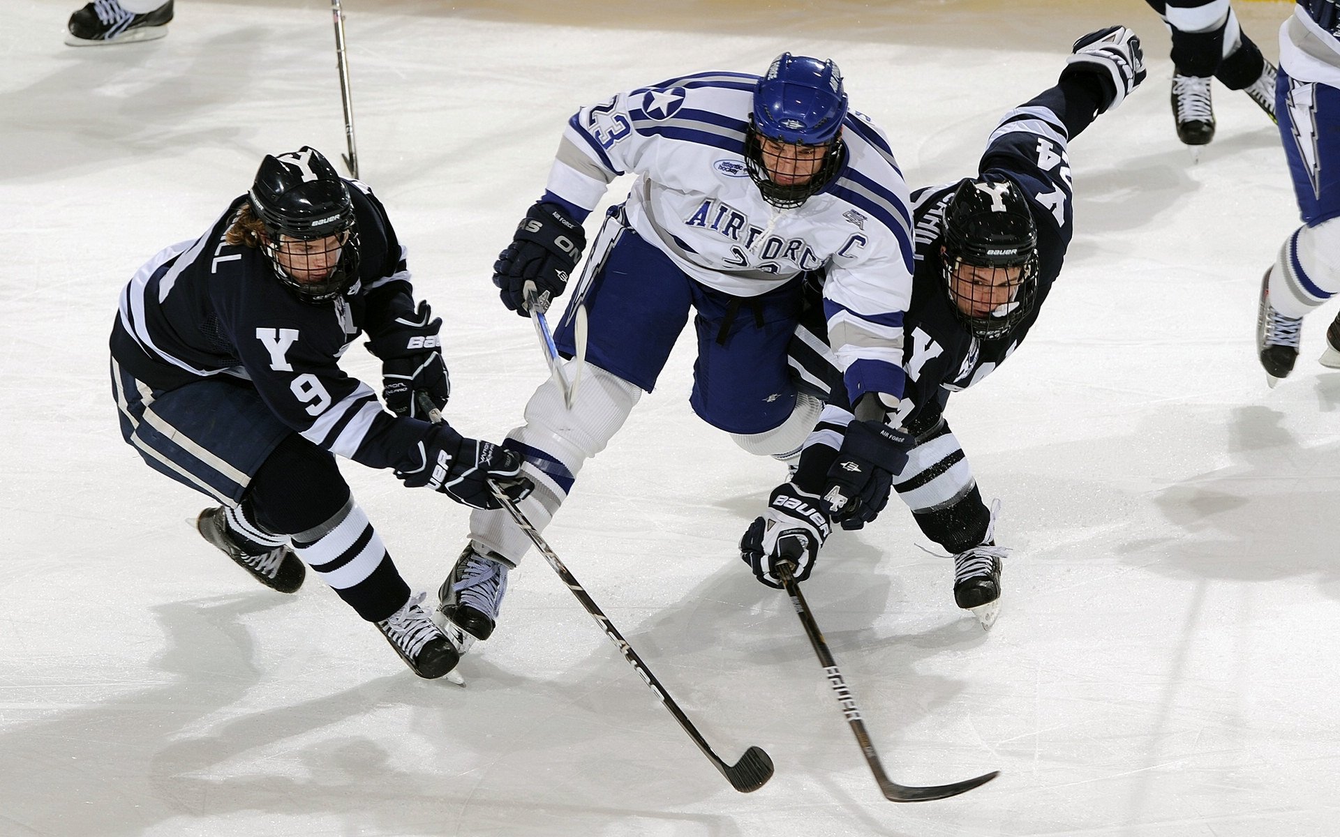 布莱顿边中结合形成良好进攻通道,布莱顿森林体系之后