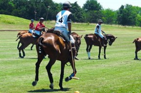 Kaiyun(中国)开云-体育明星公益慈善影响深远，体育明星捐款和娱乐明星捐款